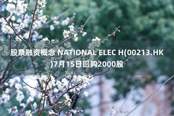 股票融资概念 NATIONAL ELEC H(00213.HK)7月15日回购2000股