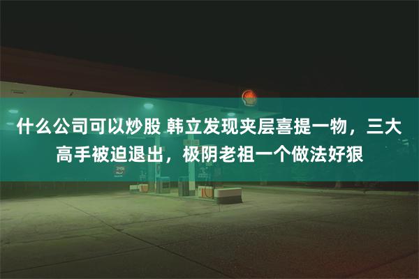 什么公司可以炒股 韩立发现夹层喜提一物，三大高手被迫退出，极阴老祖一个做法好狠