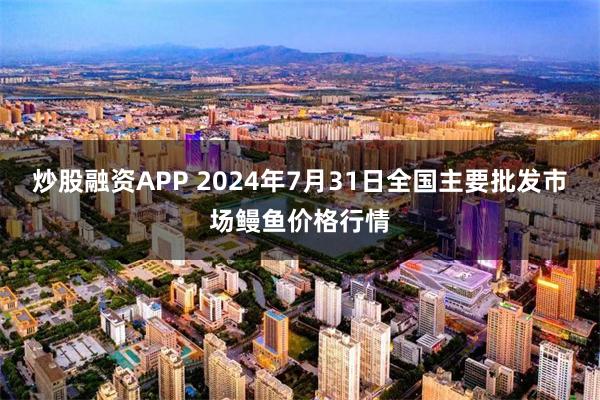 炒股融资APP 2024年7月31日全国主要批发市场鳗鱼价格行情