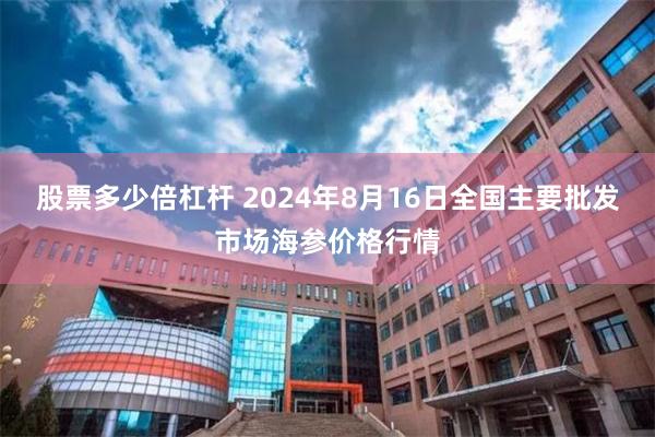 股票多少倍杠杆 2024年8月16日全国主要批发市场海参价格行情