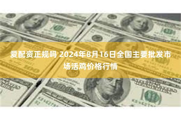 爱配资正规吗 2024年8月16日全国主要批发市场活鸡价格行情