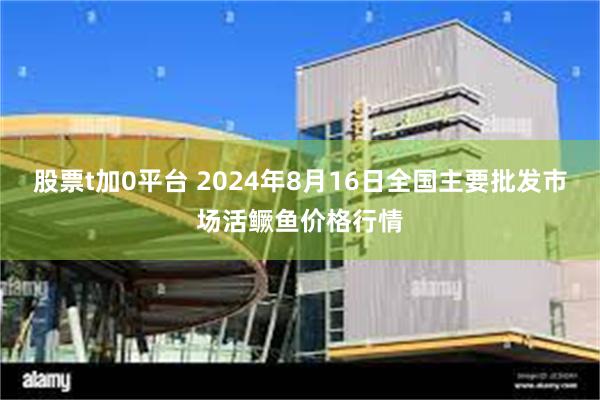 股票t加0平台 2024年8月16日全国主要批发市场活鳜鱼价格行情