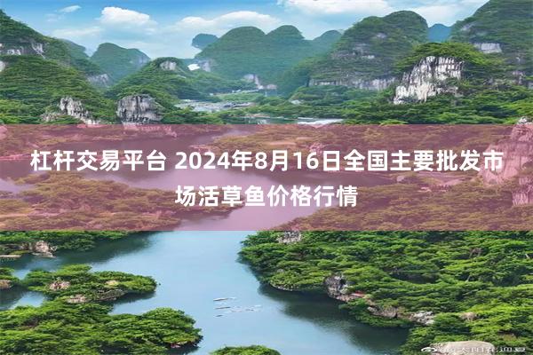 杠杆交易平台 2024年8月16日全国主要批发市场活草鱼价格行情