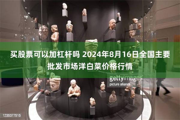 买股票可以加杠杆吗 2024年8月16日全国主要批发市场洋白菜价格行情