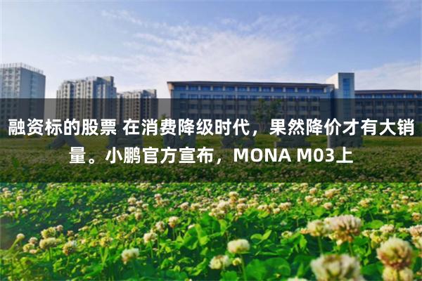 融资标的股票 在消费降级时代，果然降价才有大销量。小鹏官方宣布，MONA M03上