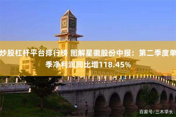 炒股杠杆平台排行榜 图解星徽股份中报：第二季度单季净利润同比增118.45%