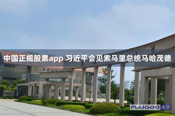 中国正规股票app 习近平会见索马里总统马哈茂德