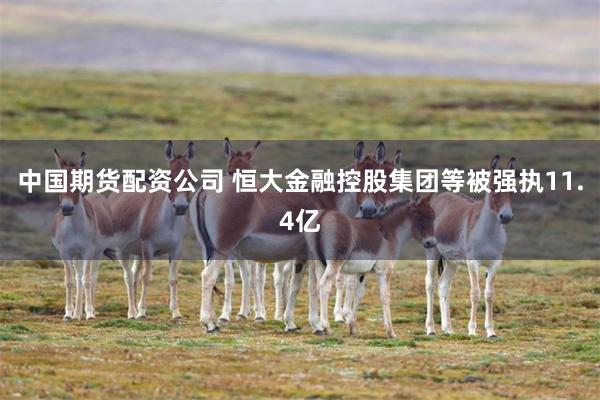 中国期货配资公司 恒大金融控股集团等被强执11.4亿