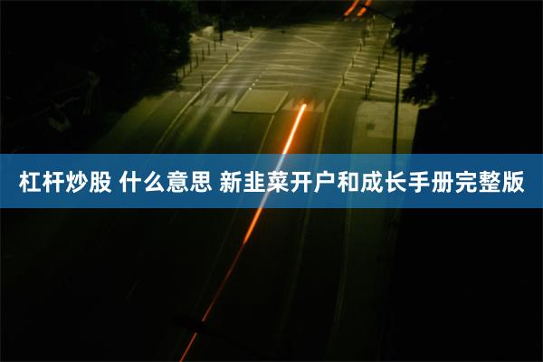 杠杆炒股 什么意思 新韭菜开户和成长手册完整版