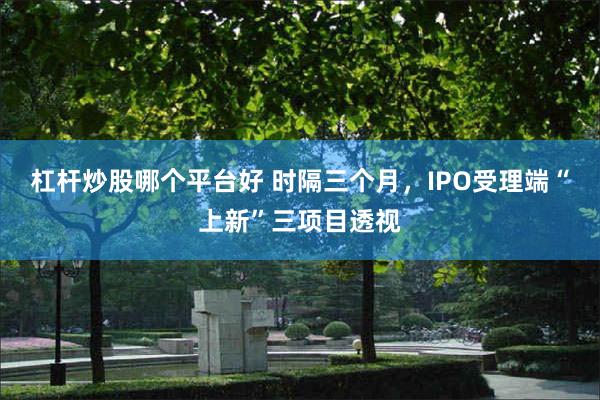 杠杆炒股哪个平台好 时隔三个月，IPO受理端“上新”三项目透视