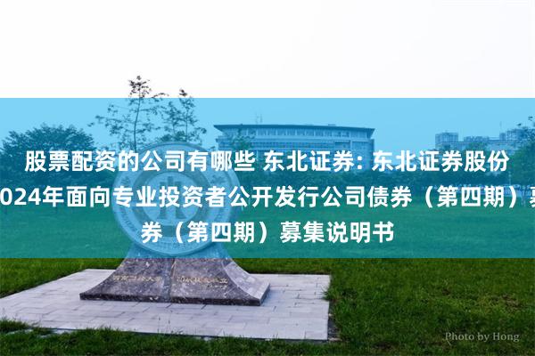 股票配资的公司有哪些 东北证券: 东北证券股份有限公司2024年面向专业投资者公开发行公司债券（第四期）募集说明书