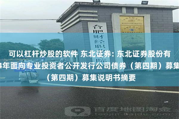 可以杠杆炒股的软件 东北证券: 东北证券股份有限公司2024年面向专业投资者公开发行公司债券（第四期）募集说明书摘要