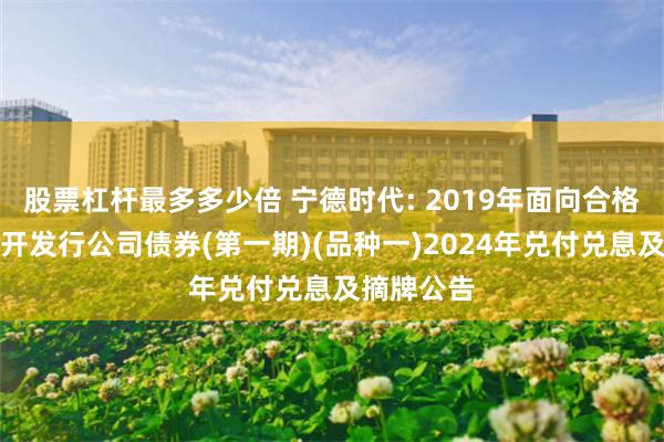 股票杠杆最多多少倍 宁德时代: 2019年面向合格投资者公开发行公司债券(第一期)(品种一)2024年兑付兑息及摘牌公告