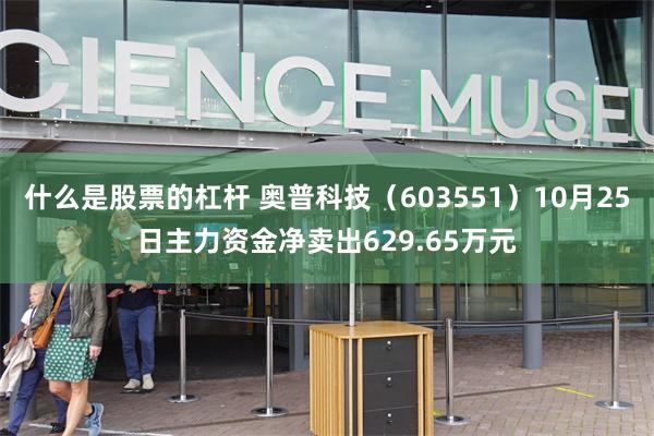 什么是股票的杠杆 奥普科技（603551）10月25日主力资金净卖出629.65万元