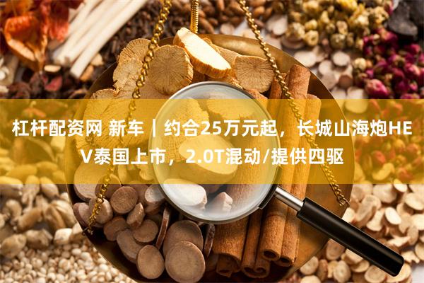 杠杆配资网 新车｜约合25万元起，长城山海炮HEV泰国上市，2.0T混动/提供四驱