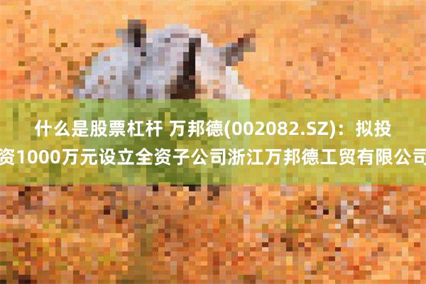 什么是股票杠杆 万邦德(002082.SZ)：拟投资1000万元设立全资子公司浙江万邦德工贸有限公司