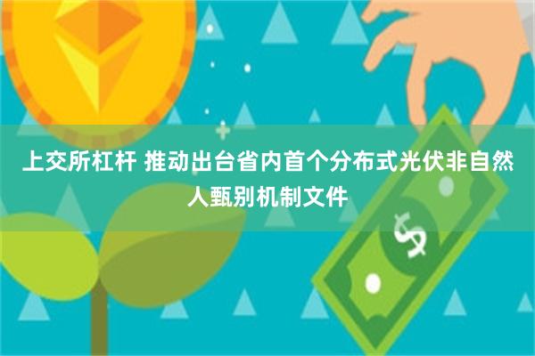 上交所杠杆 推动出台省内首个分布式光伏非自然人甄别机制文件