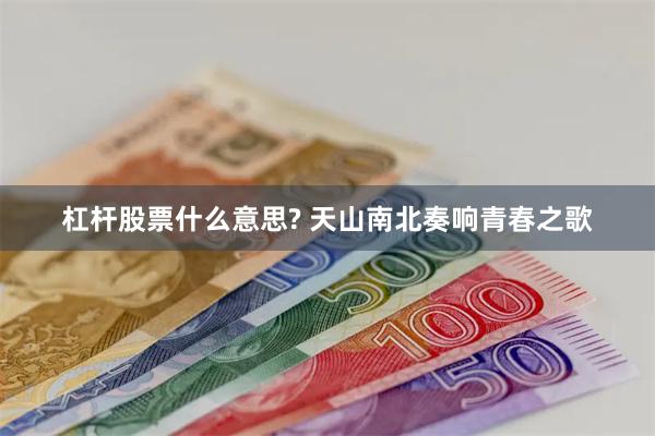 杠杆股票什么意思? 天山南北奏响青春之歌