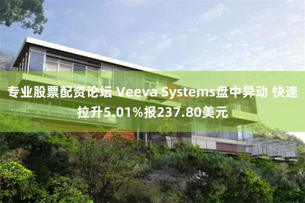 专业股票配资论坛 Veeva Systems盘中异动 快速拉升5.01%报237.80美元