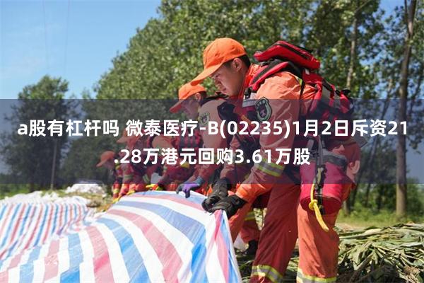 a股有杠杆吗 微泰医疗-B(02235)1月2日斥资21.28万港元回购3.61万股