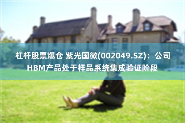 杠杆股票爆仓 紫光国微(002049.SZ)：公司HBM产品处于样品系统集成验证阶段