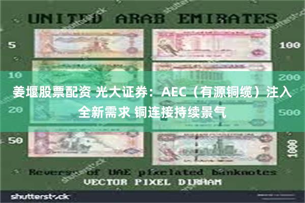 姜堰股票配资 光大证券：AEC（有源铜缆）注入全新需求 铜连接持续景气