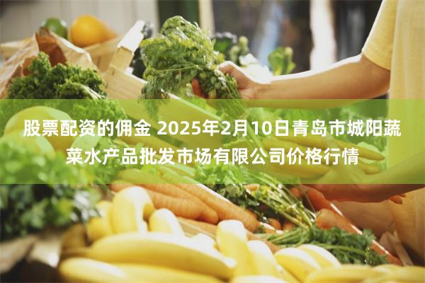 股票配资的佣金 2025年2月10日青岛市城阳蔬菜水产品批发市场有限公司价格行情