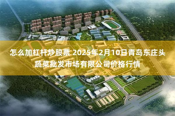 怎么加杠杆炒股票 2025年2月10日青岛东庄头蔬菜批发市场有限公司价格行情