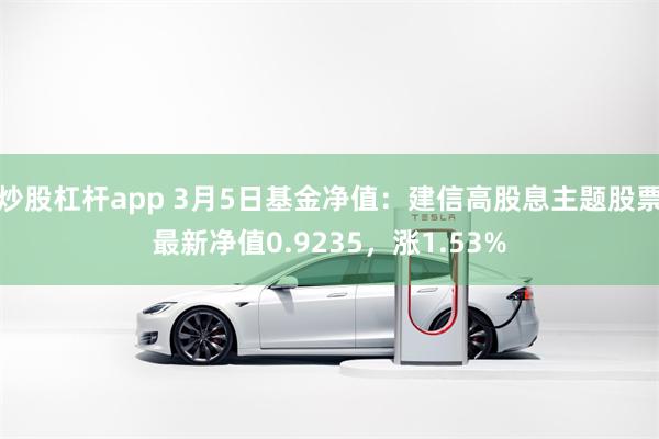 炒股杠杆app 3月5日基金净值：建信高股息主题股票最新净值0.9235，涨1.53%