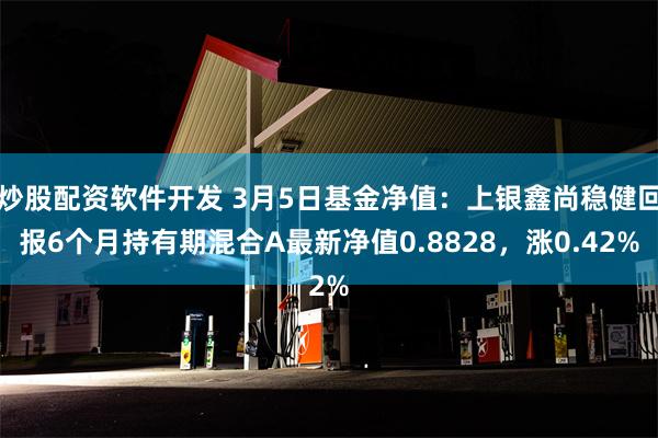 炒股配资软件开发 3月5日基金净值：上银鑫尚稳健回报6个月持有期混合A最新净值0.8828，涨0.42%