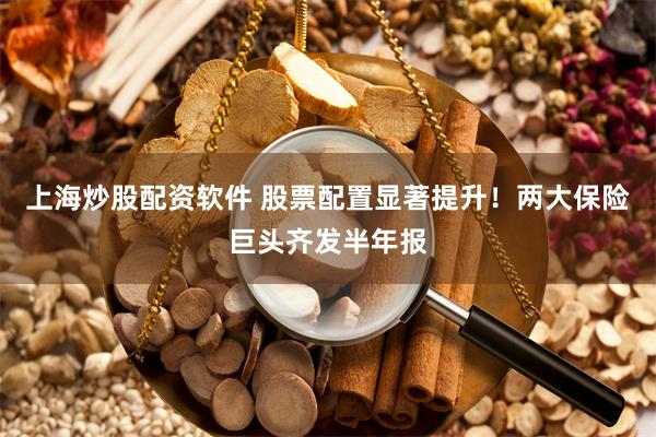 上海炒股配资软件 股票配置显著提升！两大保险巨头齐发半年报