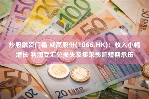 炒股融资门槛 威高股份(1066.HK)：收入小幅增长 利润受汇兑损失及集采影响短期承压